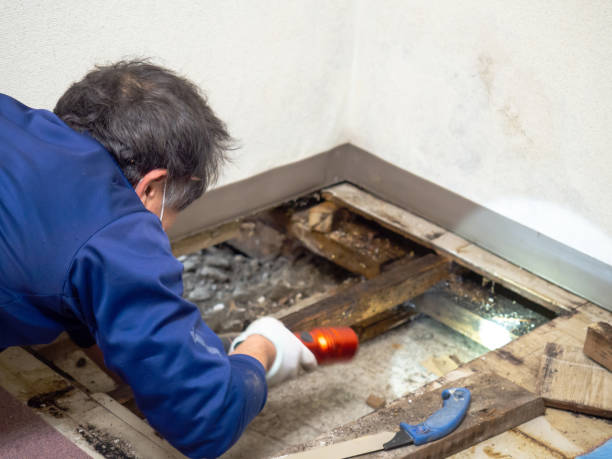 Water Damage Restoration in Wake Village, TX