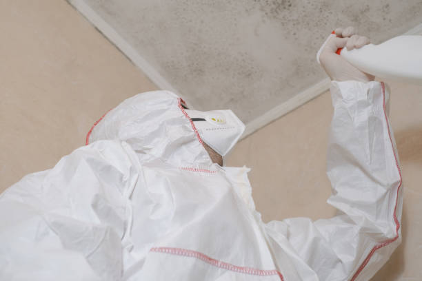 Wake Village, TX Mold Removal Company